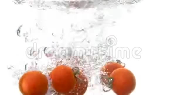 白色背景的水中番茄视频的预览图