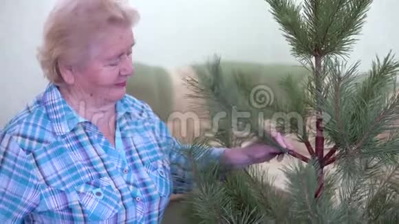 祖母收集一棵圣诞树视频的预览图