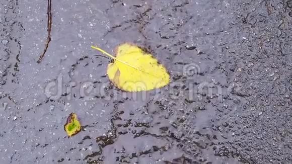 雨水在地板上留下视频的预览图