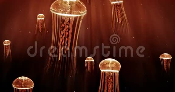 深海水母4k环橙色泳计划视频的预览图