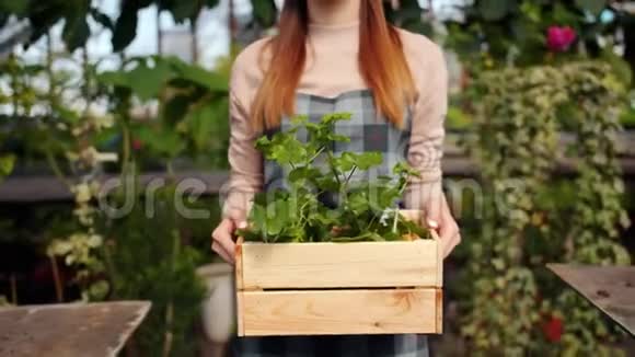 欢乐的女农在温室里慢悠悠地走着有一箱绿色植物视频的预览图