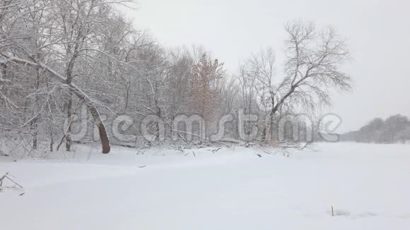 雪花落在一片美丽的白雪覆盖的森林上慢动作视频的预览图