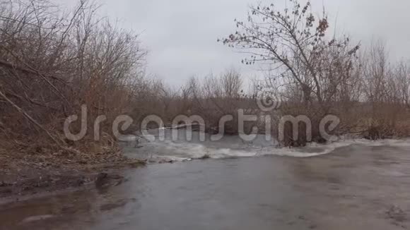 阴天晚秋森林河流暴潮视频的预览图