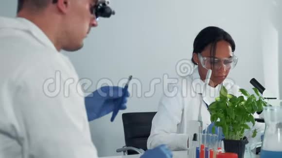戴着安全眼镜的黑女微生物学家在显微镜下观察植物叶片视频的预览图