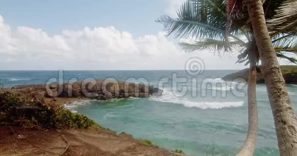 当海浪拍打岩石露头时悬崖边的棕榈树在风中飘扬视频的预览图