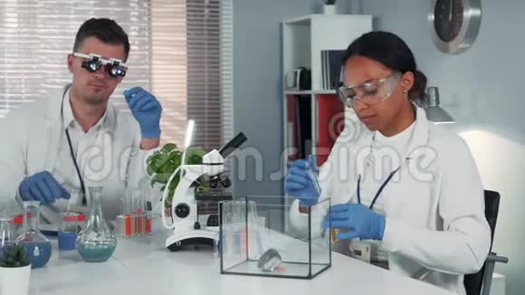 现代化学实验室中从事仓鼠实验的黑人女科学家视频的预览图