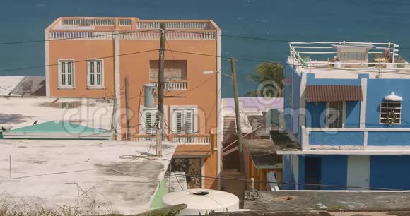 鬣蜥在屏幕上爬行背景是五颜六色的废弃建筑视频的预览图