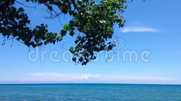 村中遮荫树下热带海滩蓝色温暖祥和的气氛视频的预览图