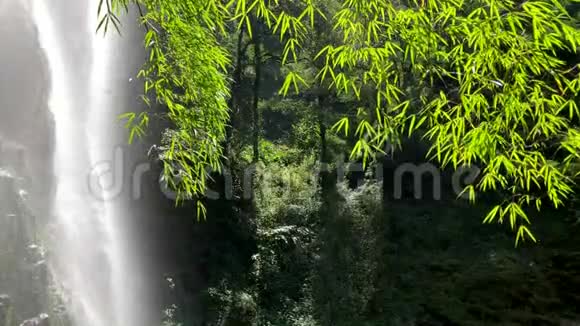 爱瀑布越南老蔡省沙坝区著名瀑布全高清录像视频的预览图