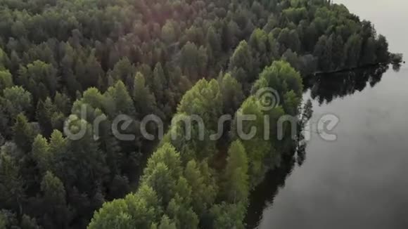 湖光山色森林里有条路视频的预览图