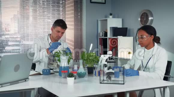 在现代实验室里科学家用烧瓶制肥料来帮助他的同事进行实验视频的预览图