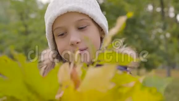 一个戴着白帽子的白种人女孩的特写肖像手里拿着一束黄叶微笑着漂亮的年轻姑娘视频的预览图