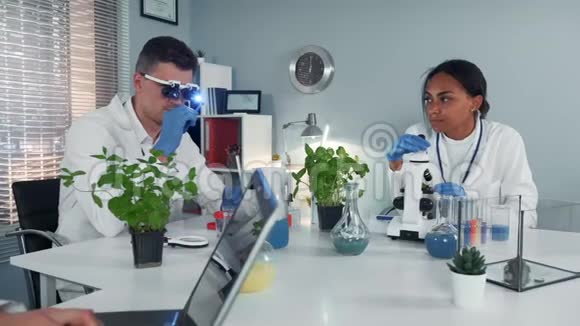 现代化学实验室两名混血科学家的工作过程视频的预览图