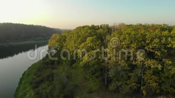 沿着河的拐弯处飞来飞去环绕着海岸带壮丽的落叶树的绿冠视频的预览图