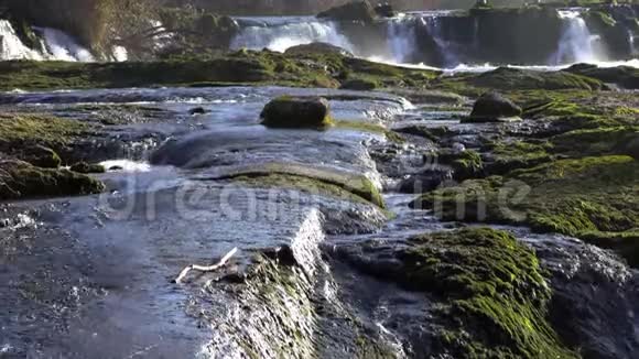 瑞士沙夫豪森瀑布前的瀑布视频的预览图