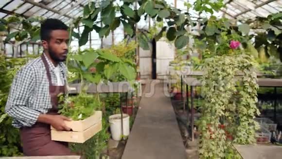 非洲裔美国男子花店在温室里拿着盛放鲜花的容器视频的预览图