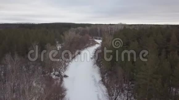 俄罗斯冬季森林鸟瞰图视频的预览图