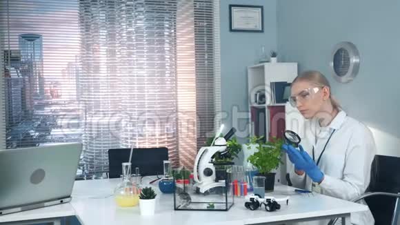 安全眼镜研究科学家在放大镜下学习植物叶片结构视频的预览图