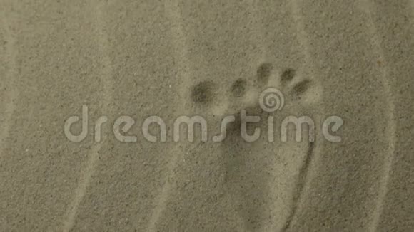 全景一个人的程式化脚印痕迹延伸到远处沙中的脚印视频的预览图