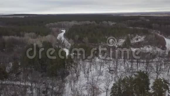 冬日雪林区空中拍摄视频的预览图