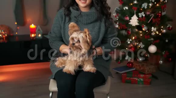 快乐情感的亚洲年轻女子在新年圣诞节室内宠物毛茸茸的小狗新年和圣诞节视频的预览图