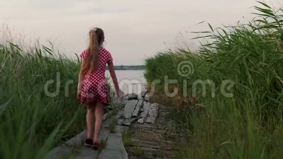 快乐的小女孩在木板上的芦苇丛中跑来跑去视频的预览图