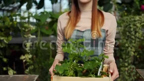 漂亮的女农民带着一盒绿色植物在温室里慢动作视频的预览图