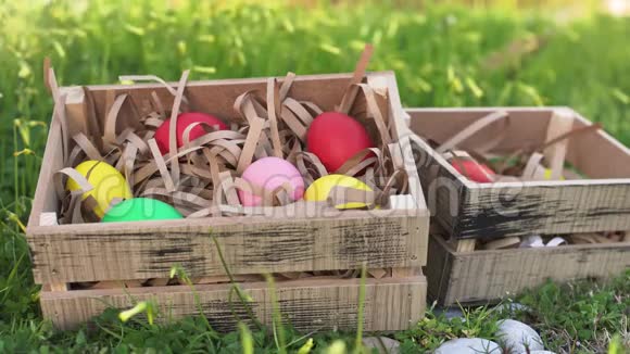 把彩色鸡蛋放进盒子里绿色的春草里有两个木箱视频的预览图