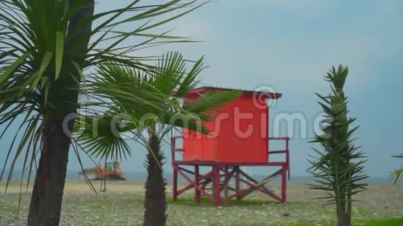 海岸线上一座红色救生塔背景上的几棵棕榈树明亮的镜头度假的概念视频的预览图