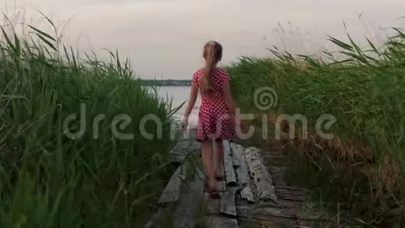 快乐的小女孩在木板上的芦苇丛中跑到湖边视频的预览图
