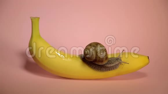 粉红色背景上的黄色香蕉视频的预览图