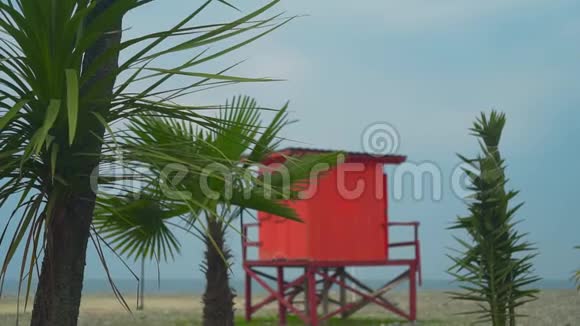 海岸线上一座红色救生塔背景上的几棵棕榈树明亮的镜头度假的概念视频的预览图