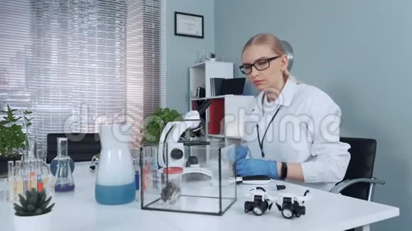 化学实验室女科学家给仓鼠提供有机食物视频的预览图