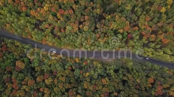 白色汽车穿越秋色森林视频的预览图