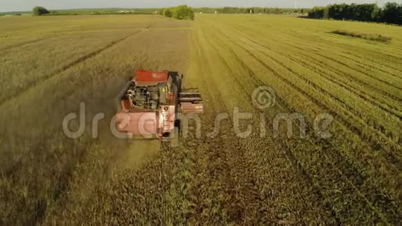 农业收割机在大田里工作的鸟瞰图美丽的阳光明媚的种植园景观和一个视频的预览图