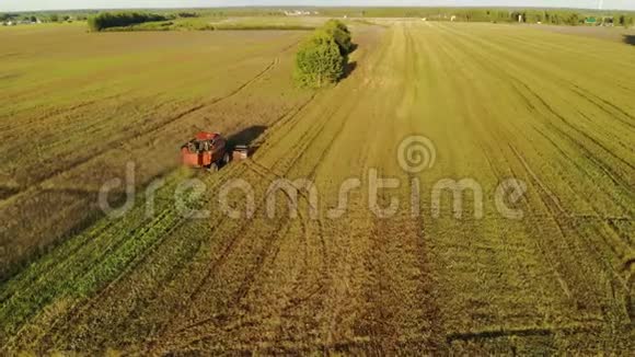 收割机在田间工作的高视角农业收获和农业综合企业的概念视频的预览图