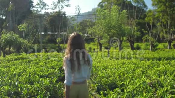 女孩沿着茶树种植园后面的小路慢走视频的预览图