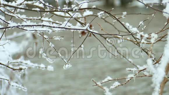 白雪覆盖的树枝挂在小溪上视频的预览图