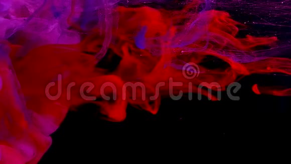 红色和紫色水彩墨在水中的黑色背景视频的预览图