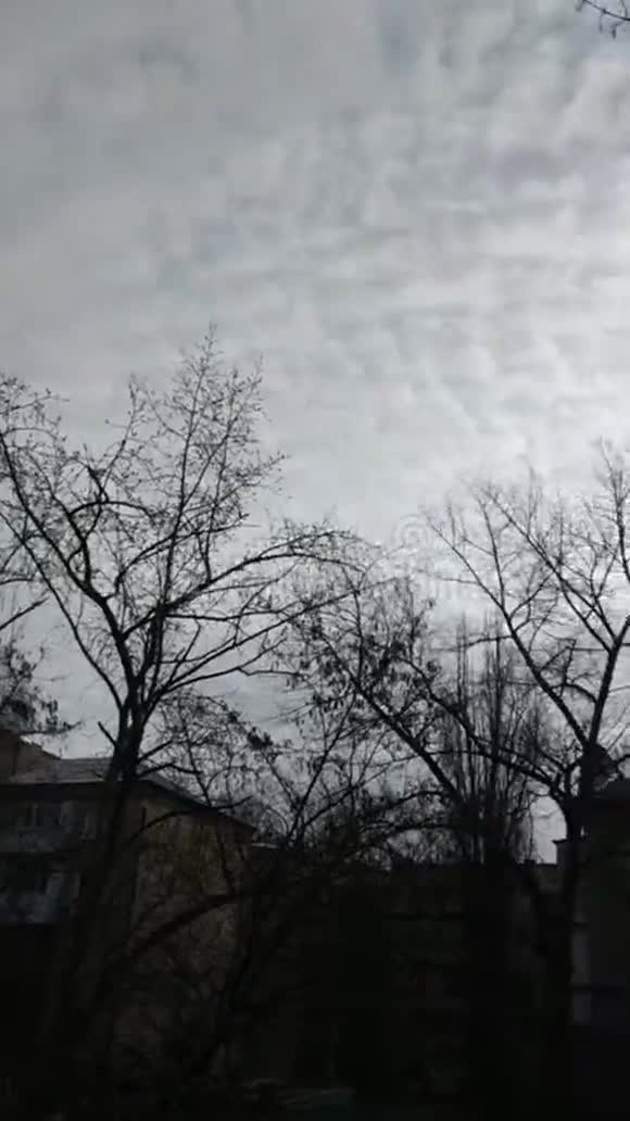 灰色的早晨积云早上在城里电话里的视频清晨阳光下的灰色房屋春天未经许可的树木视频的预览图