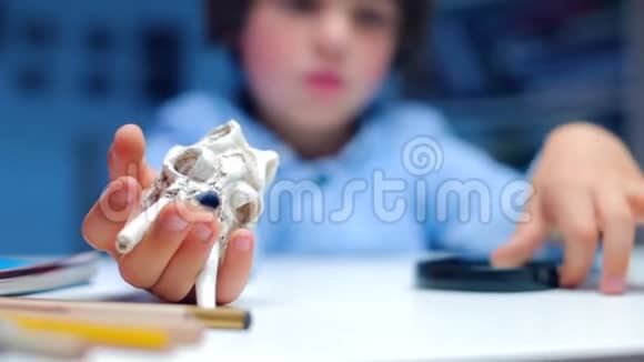 一个男孩的恐龙头骨特写的手视频的预览图