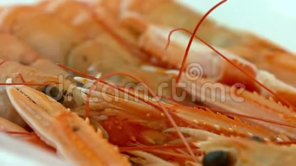 虾豪华甲壳类视频的预览图