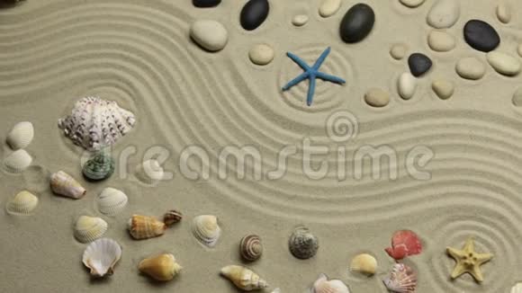 全景夏天的背景贝壳星星和石头在曲折的线沙顶部视图视频的预览图