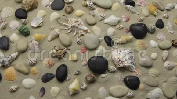 沙滩上贝壳和石头的五颜六色的背景变焦视频的预览图