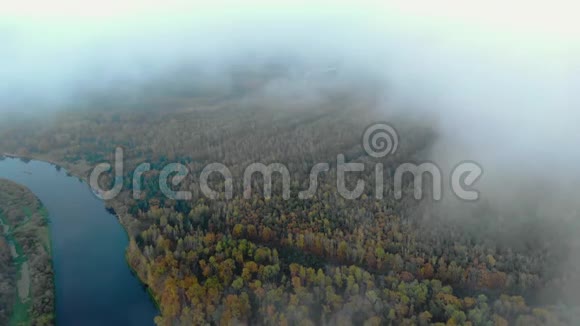 在森林中蜿蜒的河流中穿过云雾飞向美丽的秋景视频的预览图