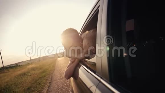 幸福的家庭乘汽车旅行日落时分车窗里的两个男孩在太阳下挥舞着手视频的预览图