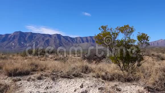 美国亚利桑那州阳光明媚的一天山区附近的干草和沙漠植物视频的预览图