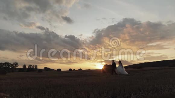 新郎和新娘的剪影在田野上跳跃新婚夫妇新婚夫妇视频的预览图