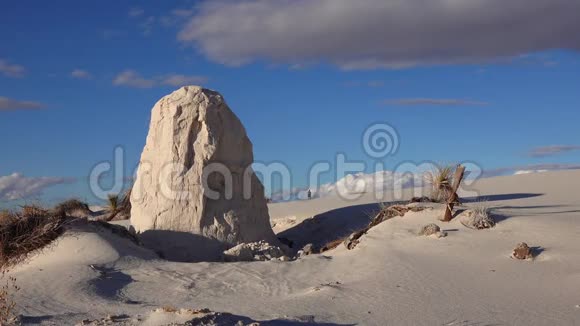 一种由植物根支撑的白色石膏沙滑片美国新墨西哥州白沙国家纪念碑视频的预览图