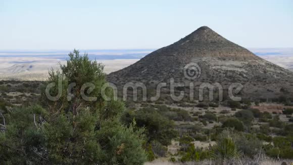 沙漠景观中的圆锥山背景下的景观针叶植物仙人掌和黄色干燥植被视频的预览图